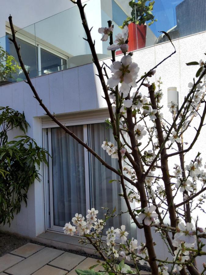 Villa Marjal Guardamar del Segura Exteriér fotografie